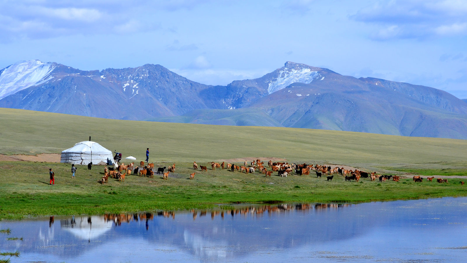 True Mongolia Travel Discover Mongolia Tour True Mongolia Travel